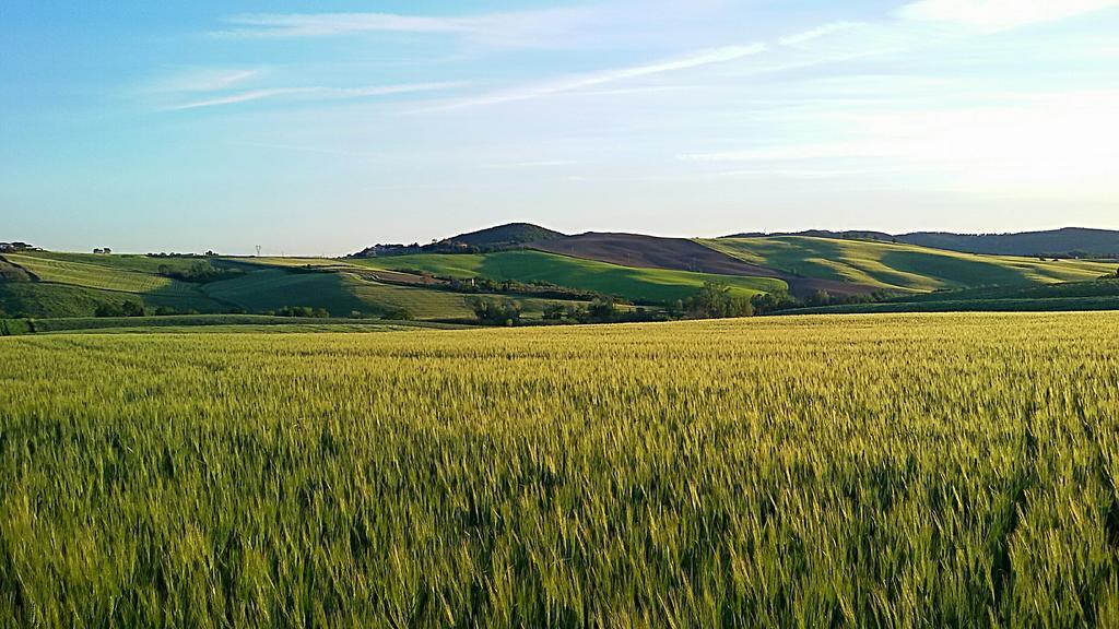 Agriturismo L'Impero Санта Луче Екстериор снимка