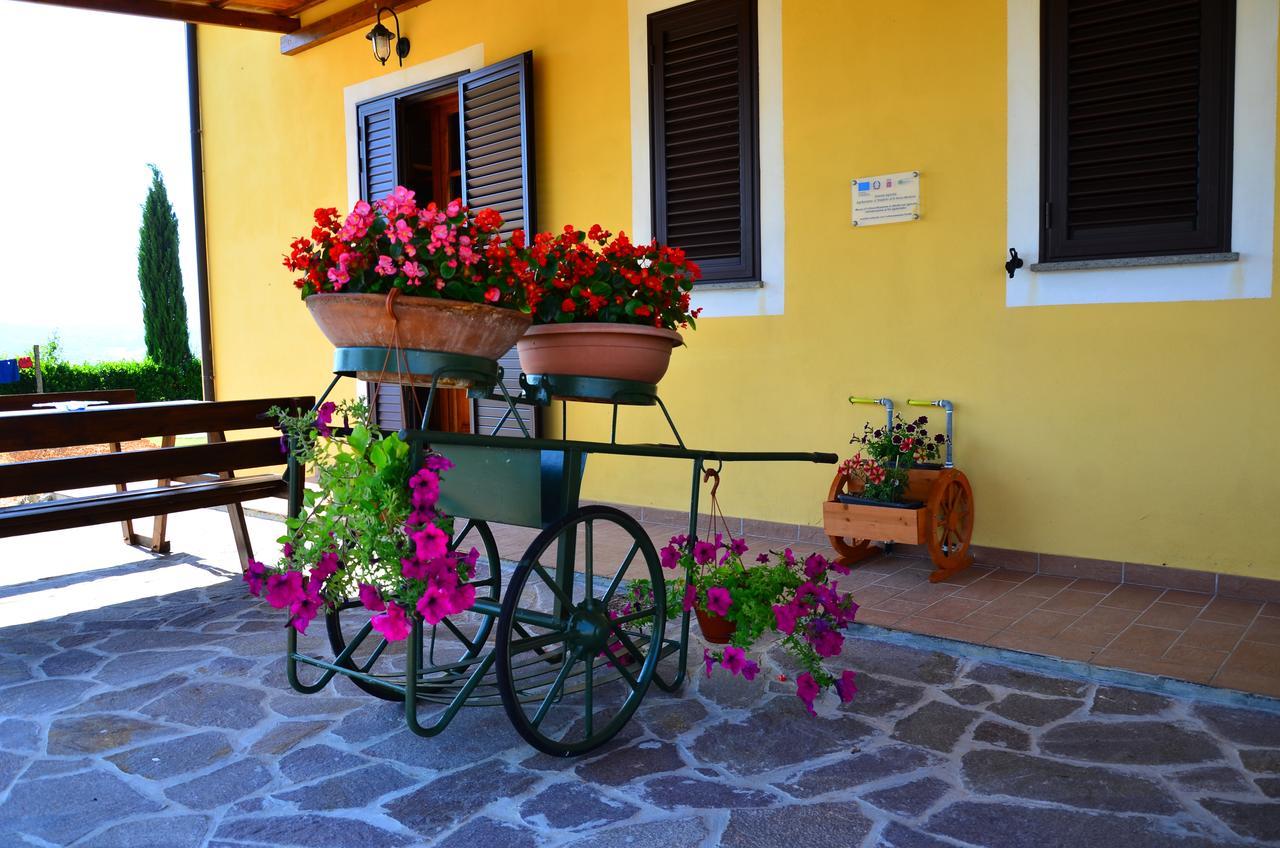 Agriturismo L'Impero Санта Луче Екстериор снимка